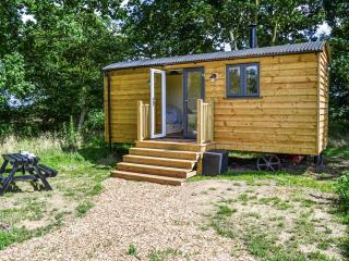 Beech - Ukc4847 - Cantley - 0