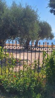Golden sea villa (30 meters from the sea) - 7