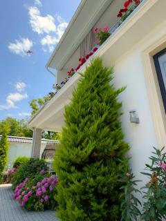 Twin Villas Gabala - 4