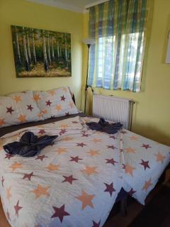Czanadomb apartman - 3