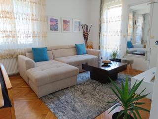 Vila Sentić - Vranje - 4