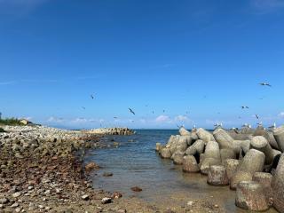 マール淡路島ラグジュアリービーチリゾート - 5