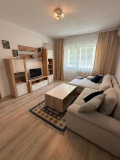 Bella Home 2, your place to stay in Lugoj - Lugoj - 8