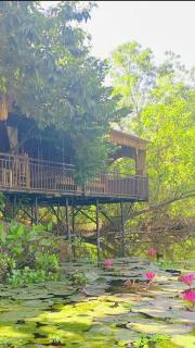 HoangLong Riverside Homestay - 3