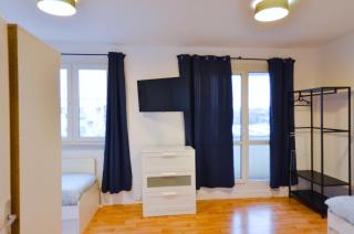 Ideal für Monteure fully furnished Apartment Halle Saale, 4-6 P - Nietleben - 5