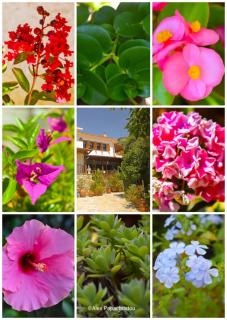 AFISSOS-DREAM 3STUDIOS - 7