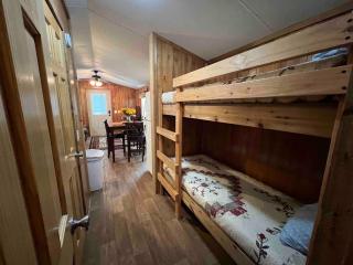 Waterfall Rush Tiny Home on River - Cosby - 8