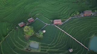 ເຂົ້າໜຽວຟາມສະເຕ-Kao Niaw Farmstay - Luang Prabang - 1