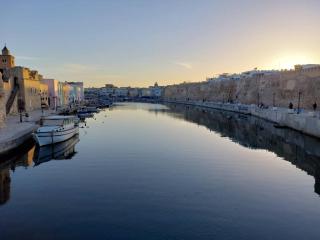 Bizerte city centre - 1