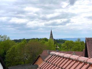Ferienwohnung Schwalbennest - Radolfzell am Bodensee - 7