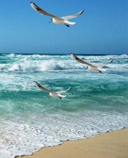 'By the sea' - Tribunj - 8