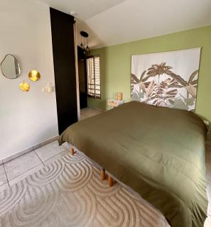 Duplex tropical au coeur de Saint Pierre - 7