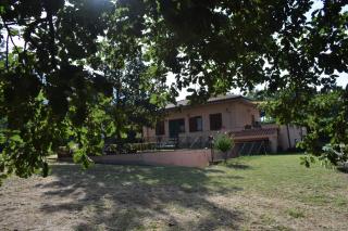 Eco degli Ulivi - 7