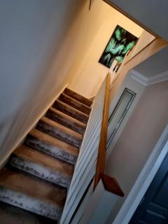 Alex Court - Leixlip - 3