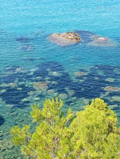 Villa Martine - Cefalú - 9