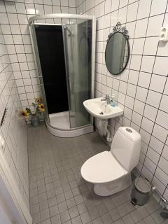 Stay in a country party and penthouse with terrace - Edenberga - 4