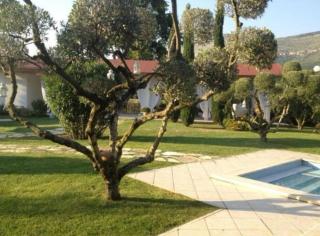 Villetta BLUE GARDEN - Sonnino - 6