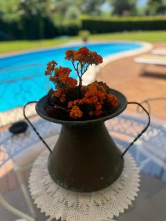 Green paradise with Etna view - Mascali - 3