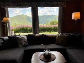 Bjørkli Lodge - 1