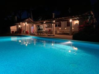 Private Pool Paradise - Tomar - 3