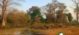 Suraj Homestay - 1