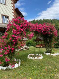 Родинна оселя - 5