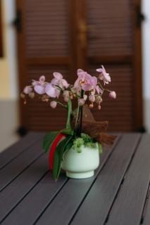 Guest House Le Risaie - 1