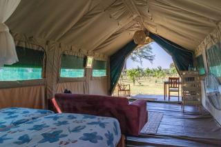Muzanga Eco Guesthouse - 6