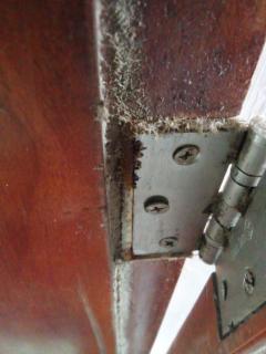 Apartasuit Cartagena beach, barrio Crespo cerca del aeropuerto - 9