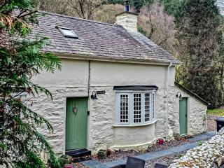 Ty Newydd - Betws-y-coed - 0