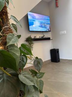 Tranquil - Atop the ridge - Kodaikānāl - 5