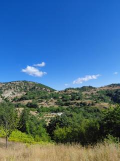 Konaku Zenelaj - Polisi i Vogël - 3
