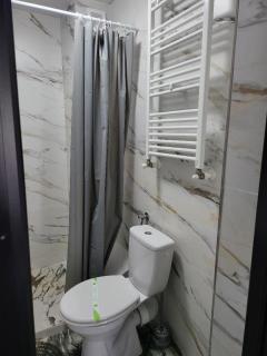 Casa Ratiu Airport Bucharest Therme Bucharest - Baloteşti - 7