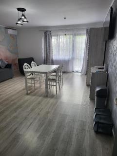 Casa Ratiu Airport Bucharest Therme Bucharest - Baloteşti - 6