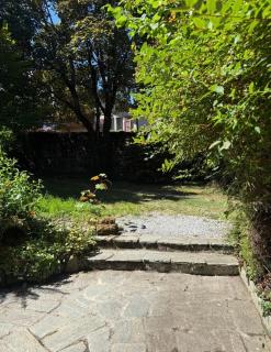 Les Platanes - Yvoire - 1