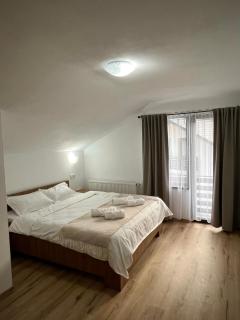 Cabanele Păstrăvăriei Parva - 0