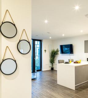 Manchester City Centre, AO Arena , Apartment with gym - 7