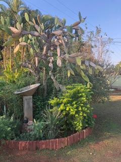 A Tranquil Stay - Matola - 4