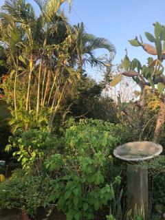 A Tranquil Stay - Matola - 8