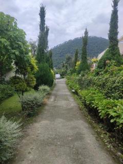 BlueBell House - Bhimtal - 2