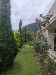 BlueBell House - 9
