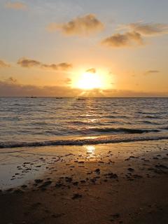 Pousada Quinta das Flores - 9