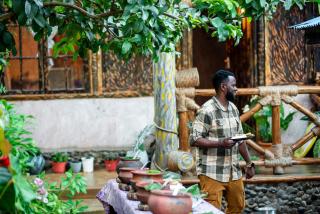 Langalanga Eco Farm - Nkoanrua - 5