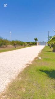 Masseria Fra Telesforo - Mesagne - 2