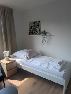 Q Apartment No 4 in BS - stadtnah im Grünen wohnen - Braunschweig - 2