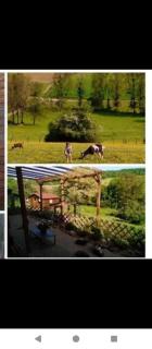 Chalet nature et detente - - 4