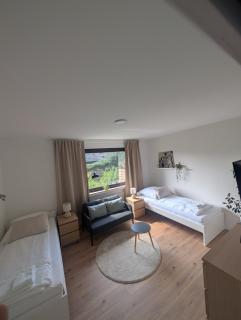 Q Apartment No 4 in BS - stadtnah im Grünen wohnen - Braunschweig - 6