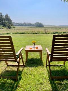 Surfreservatet i Nationalpark Thy - Hanstholm - 3