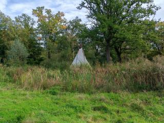 Rising Sun tipi met vuur in de natuur - Nederweert-Eind - 6