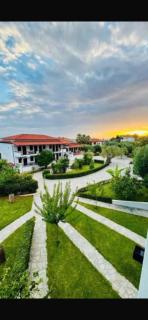 MOLA PAPAYA STUDIOS - 9